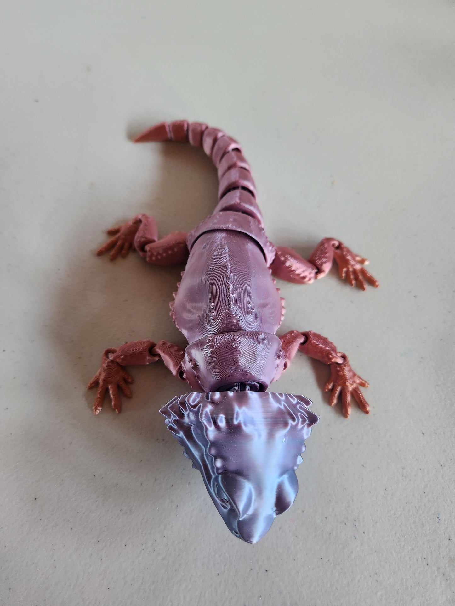 Bearded Dragon