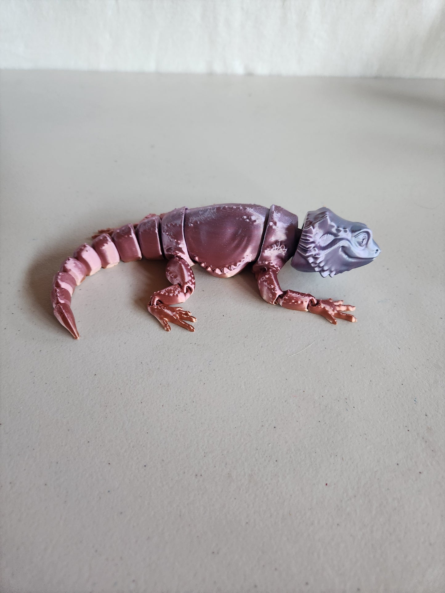Bearded Dragon