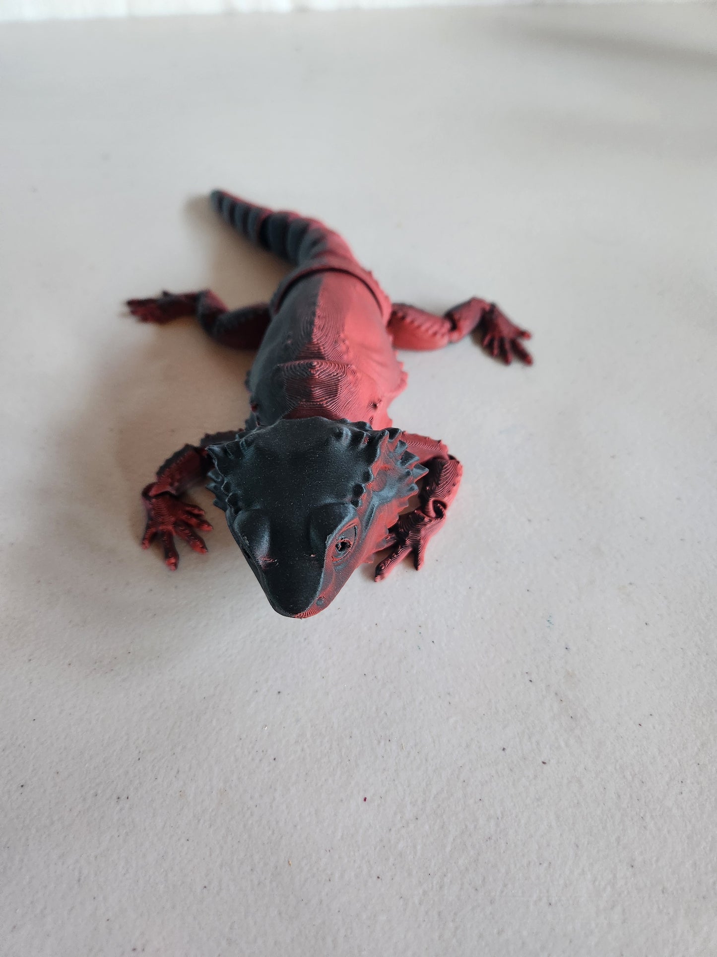 Bearded Dragon