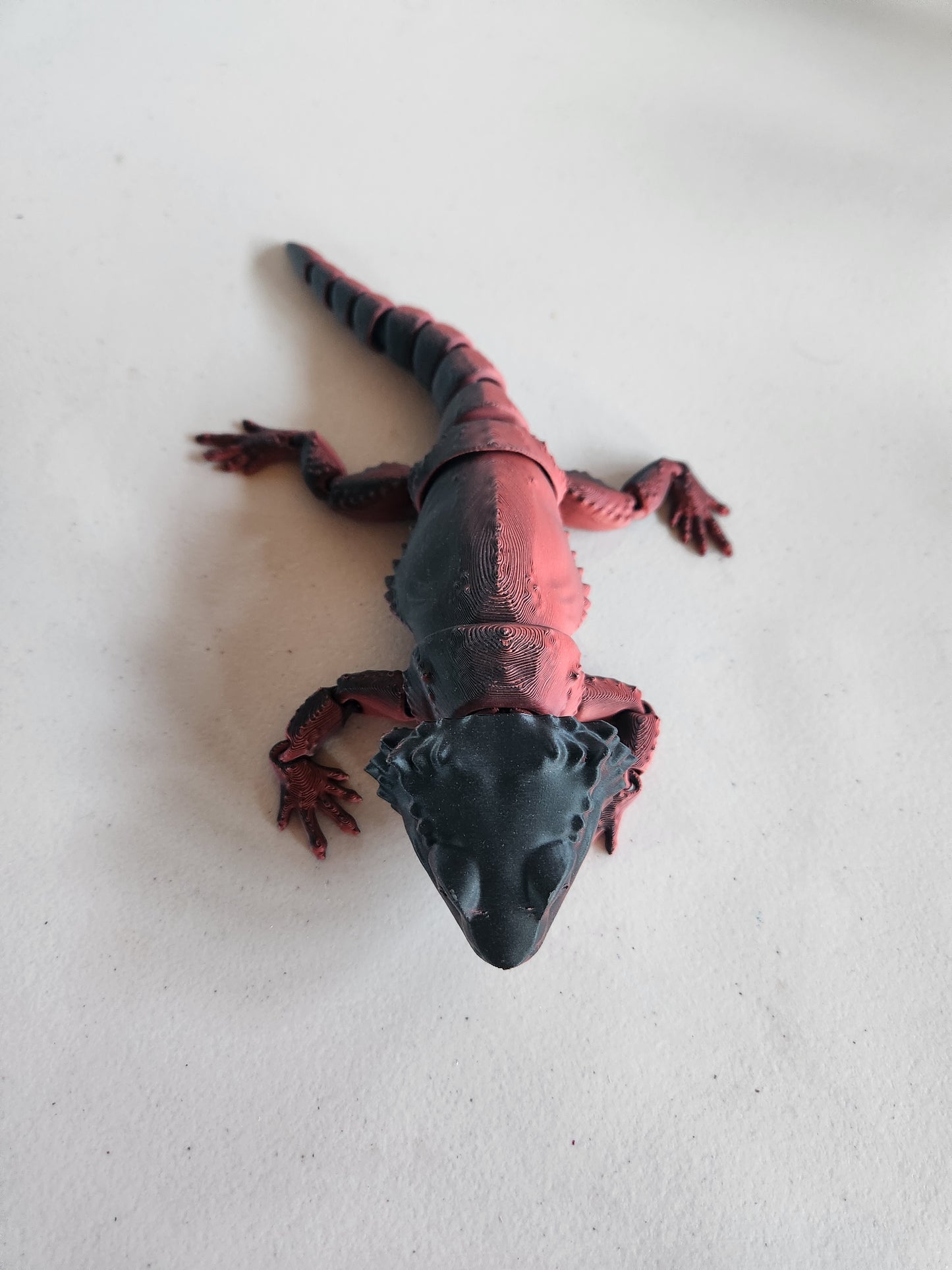 Bearded Dragon