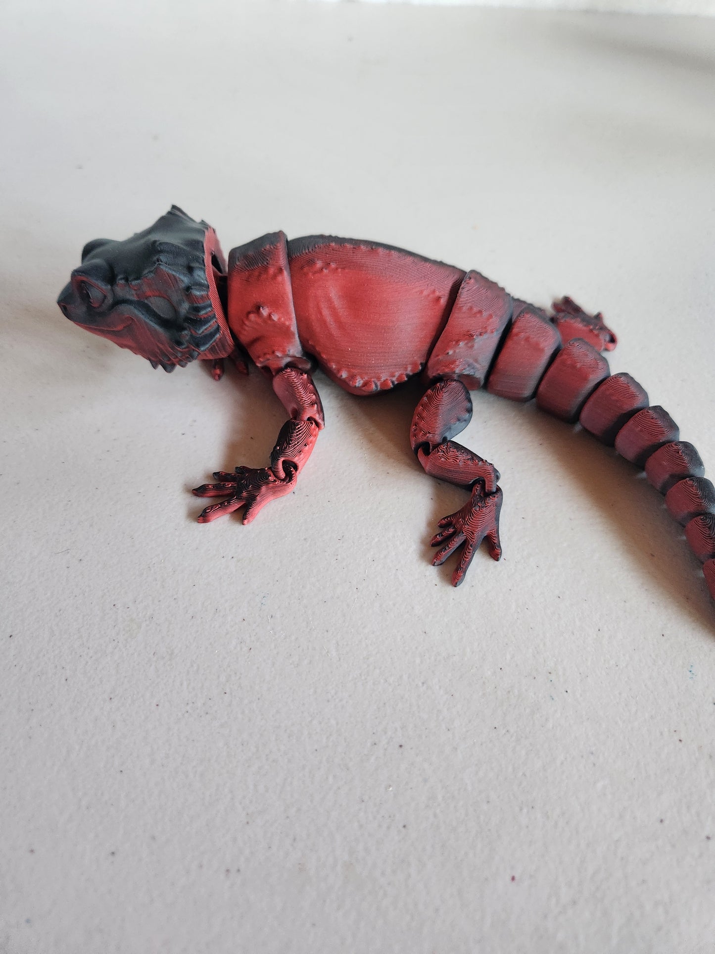 Bearded Dragon