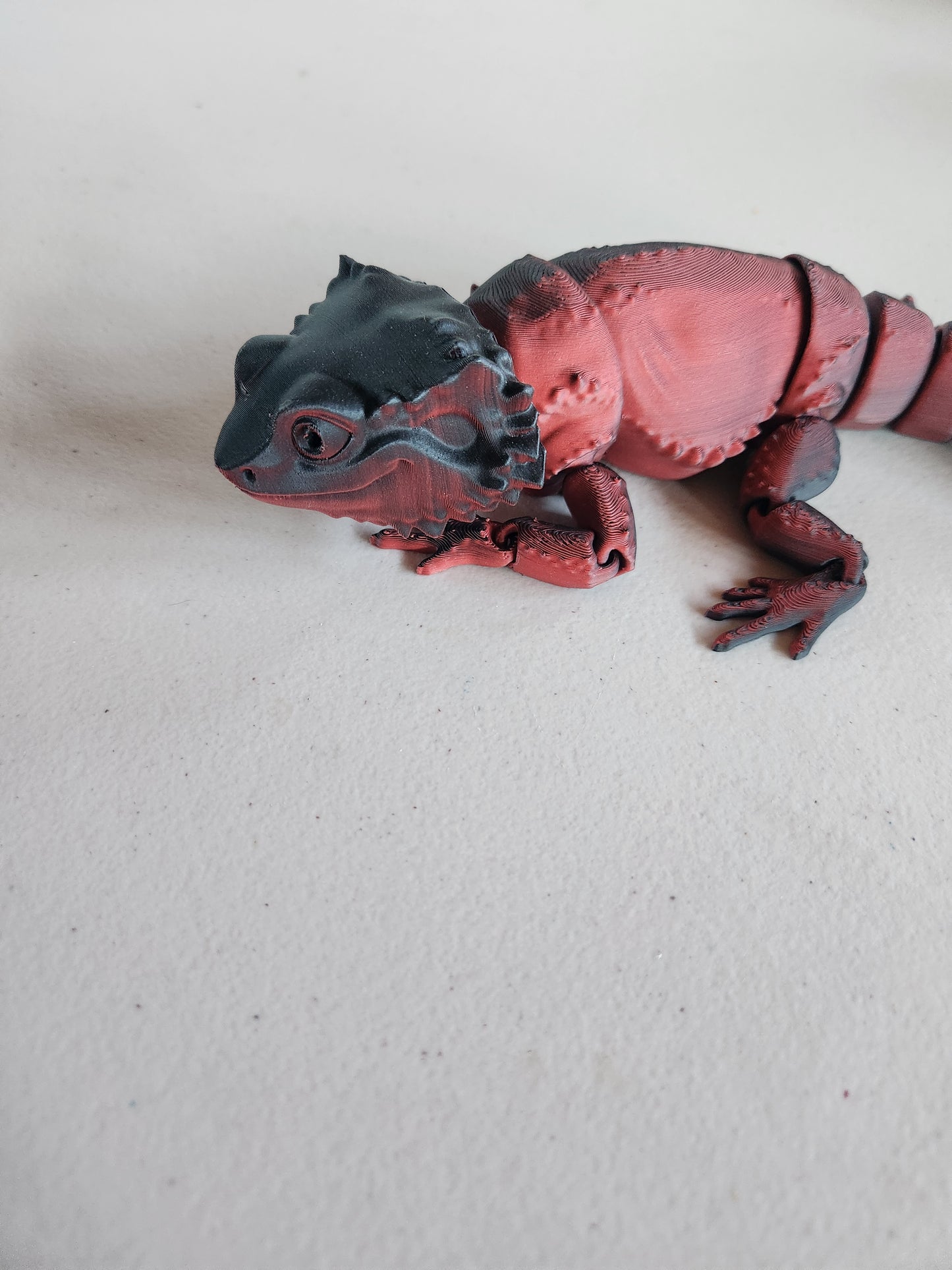 Bearded Dragon
