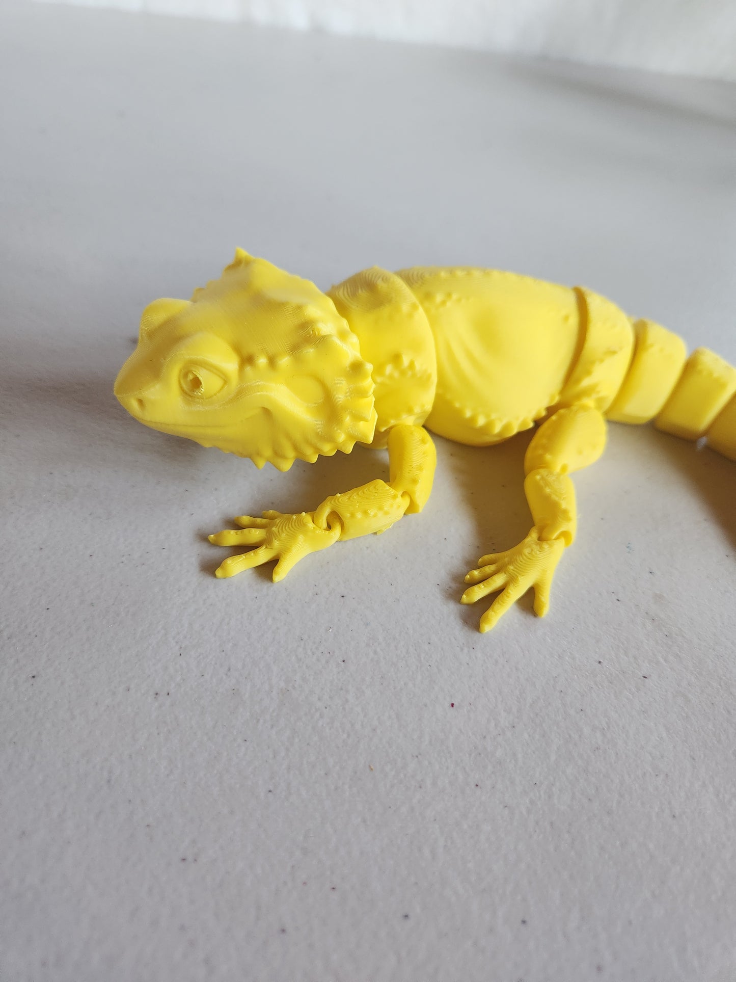 Bearded Dragon