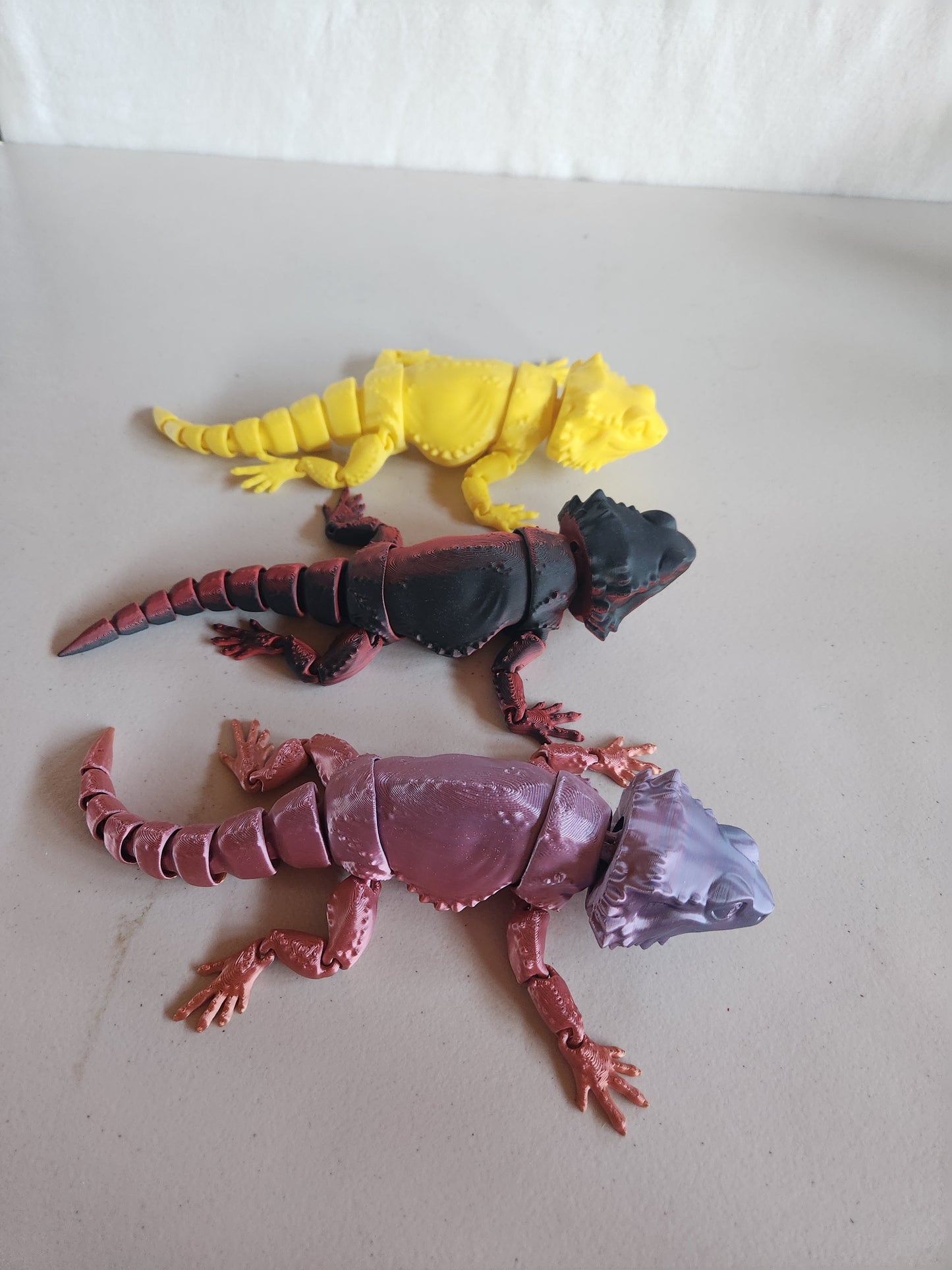 Bearded Dragon