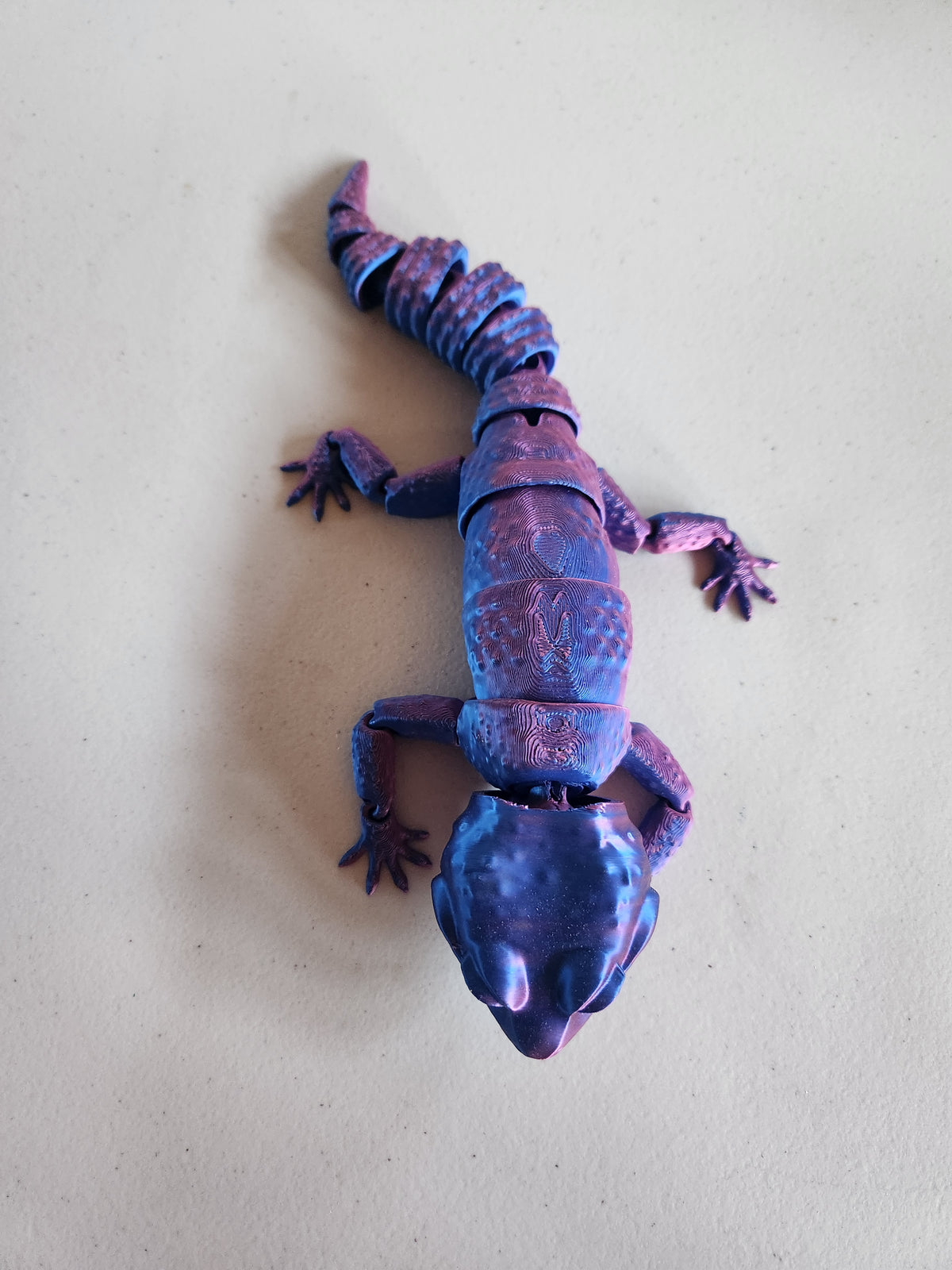 Leopard Gecko