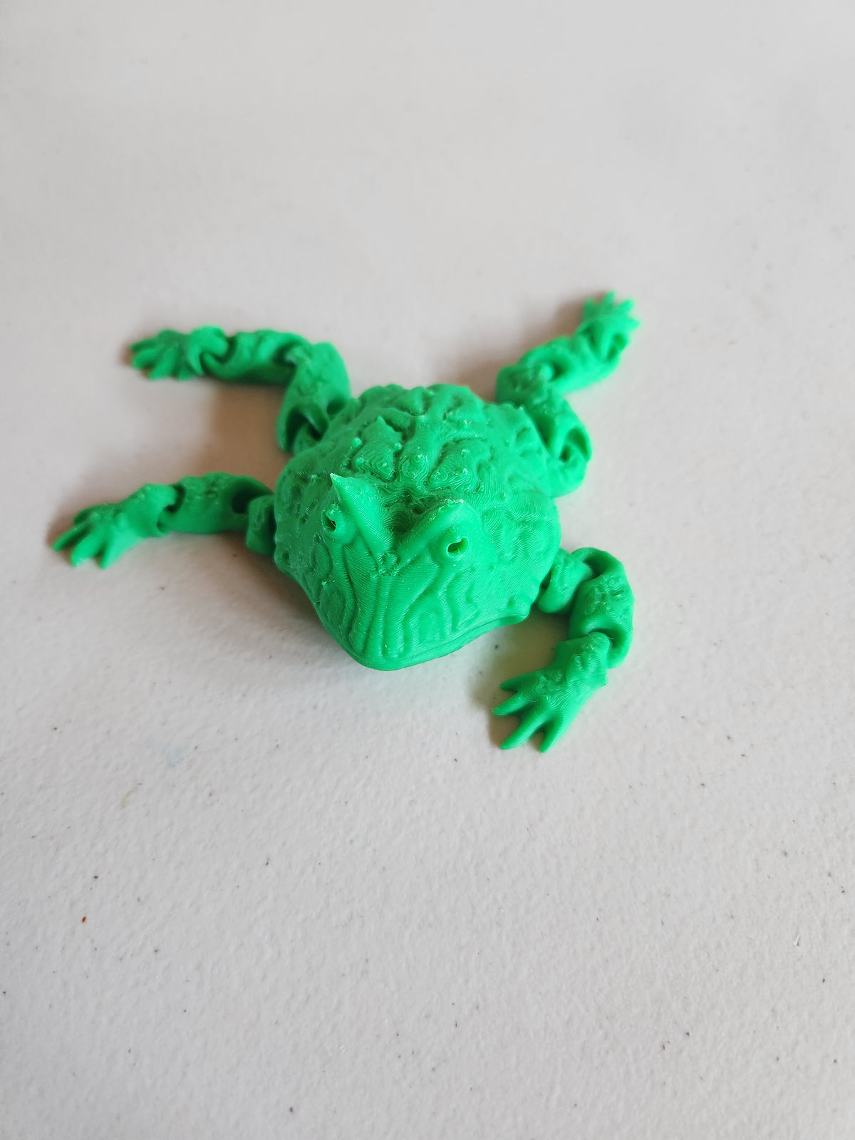 Toads