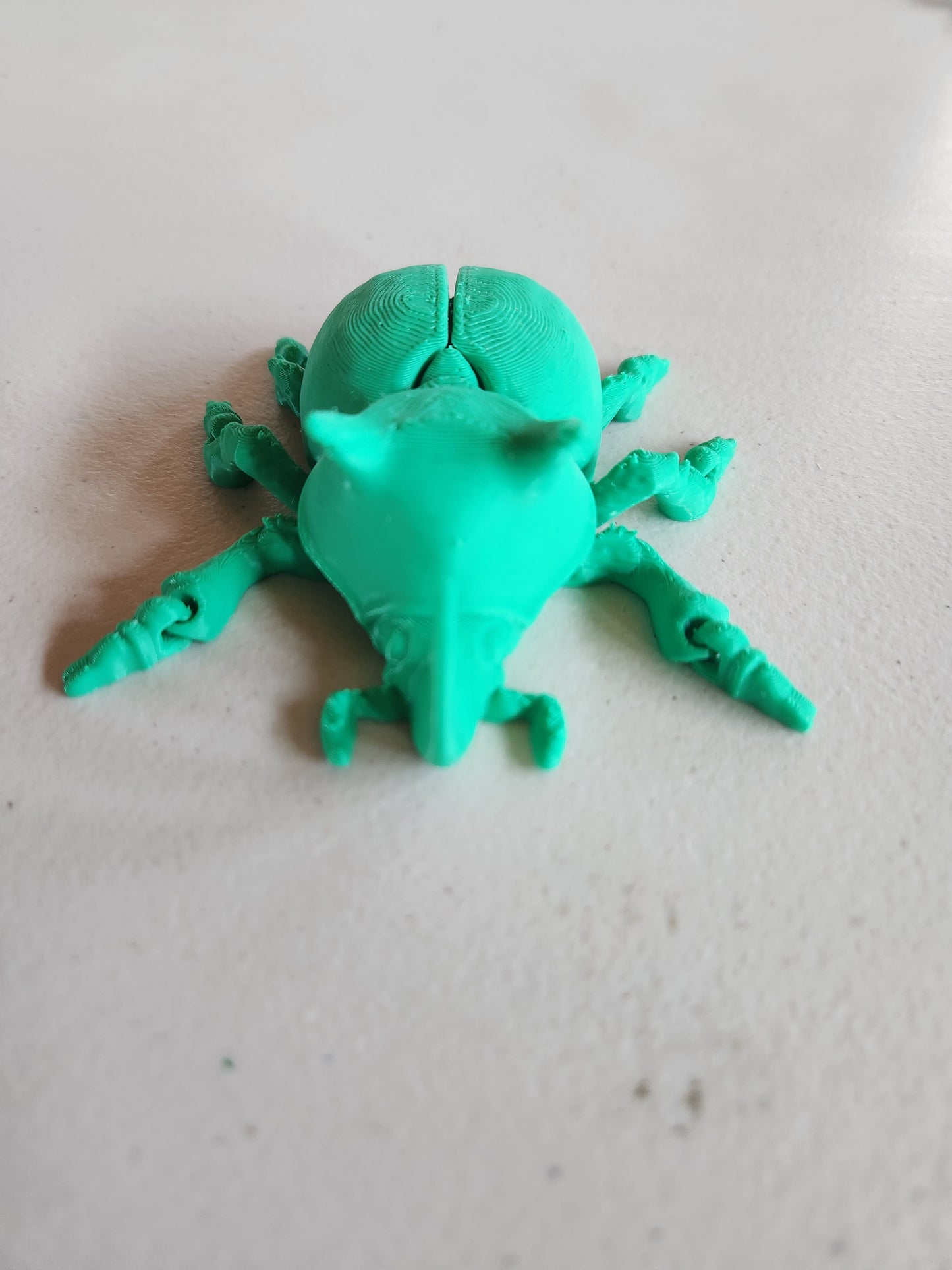 Beetle