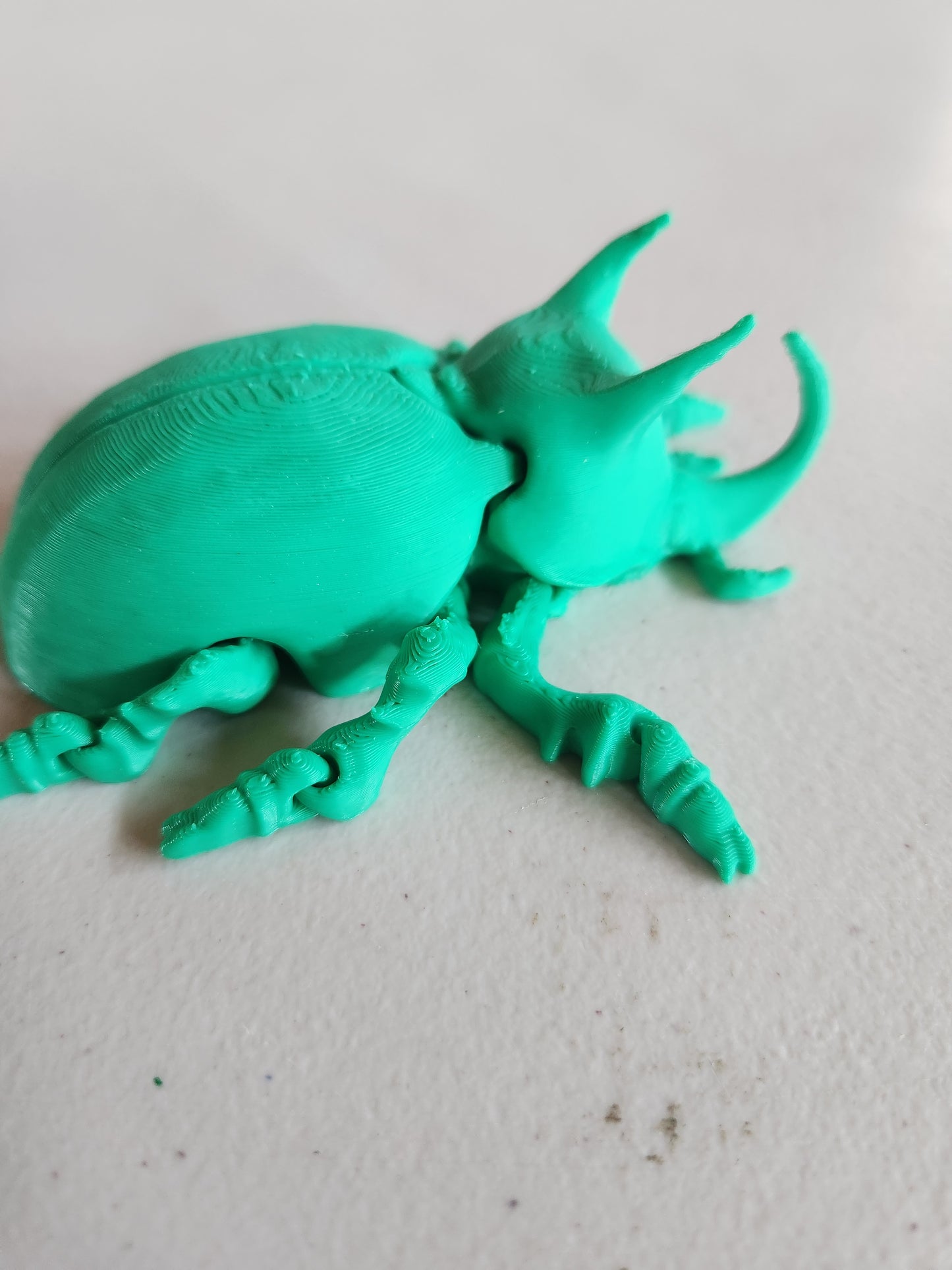 Beetle