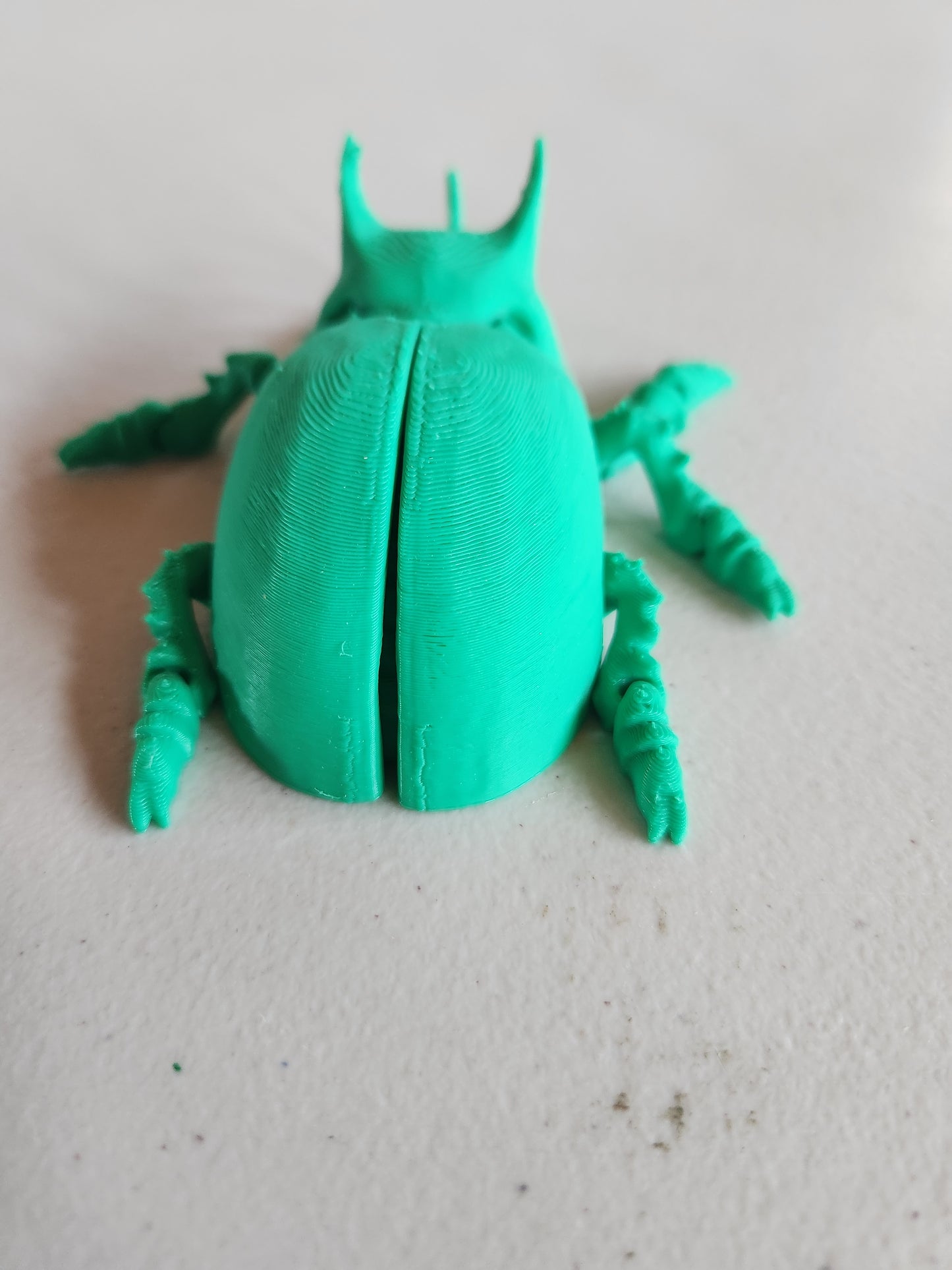 Beetle