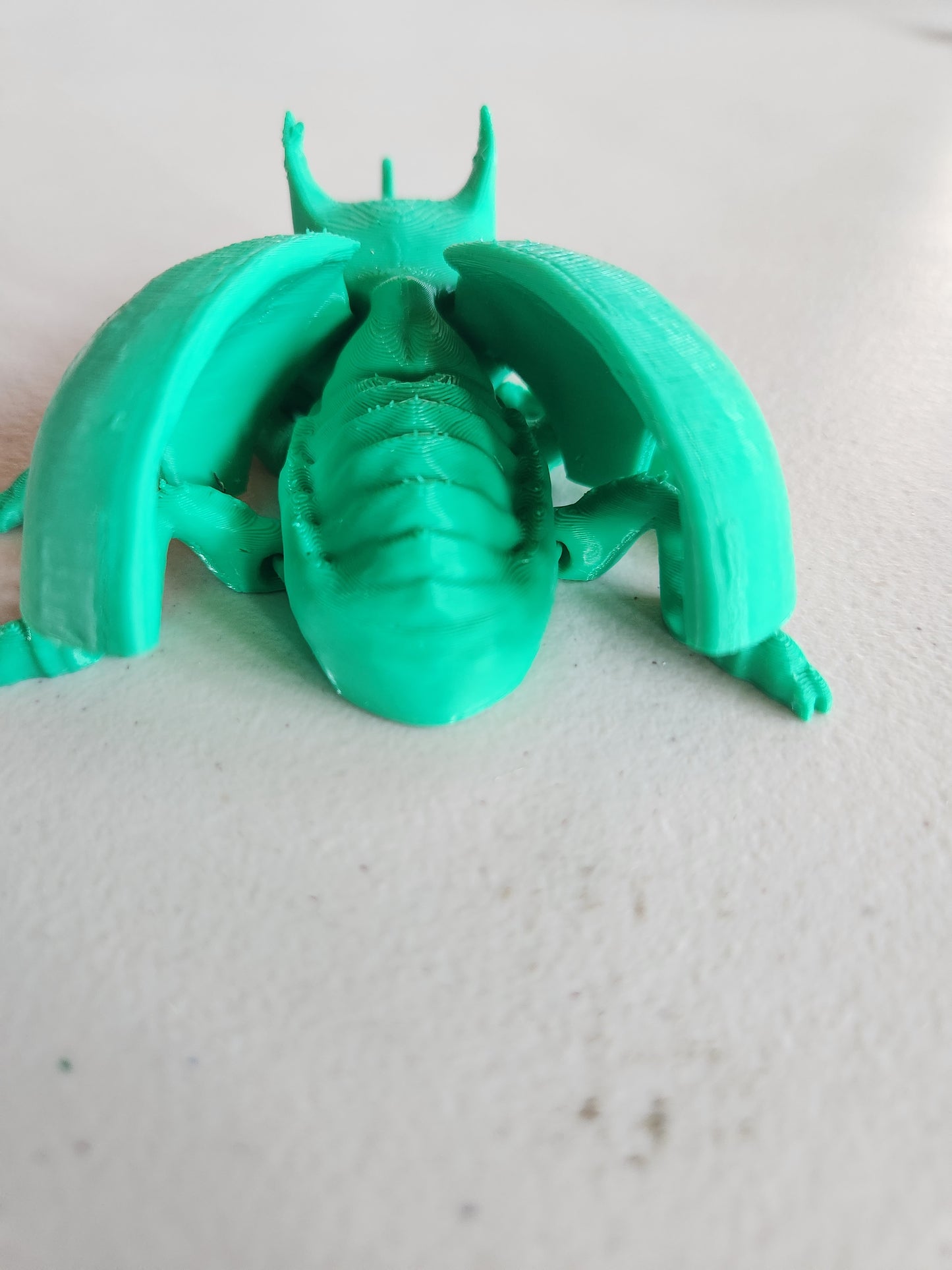 Beetle