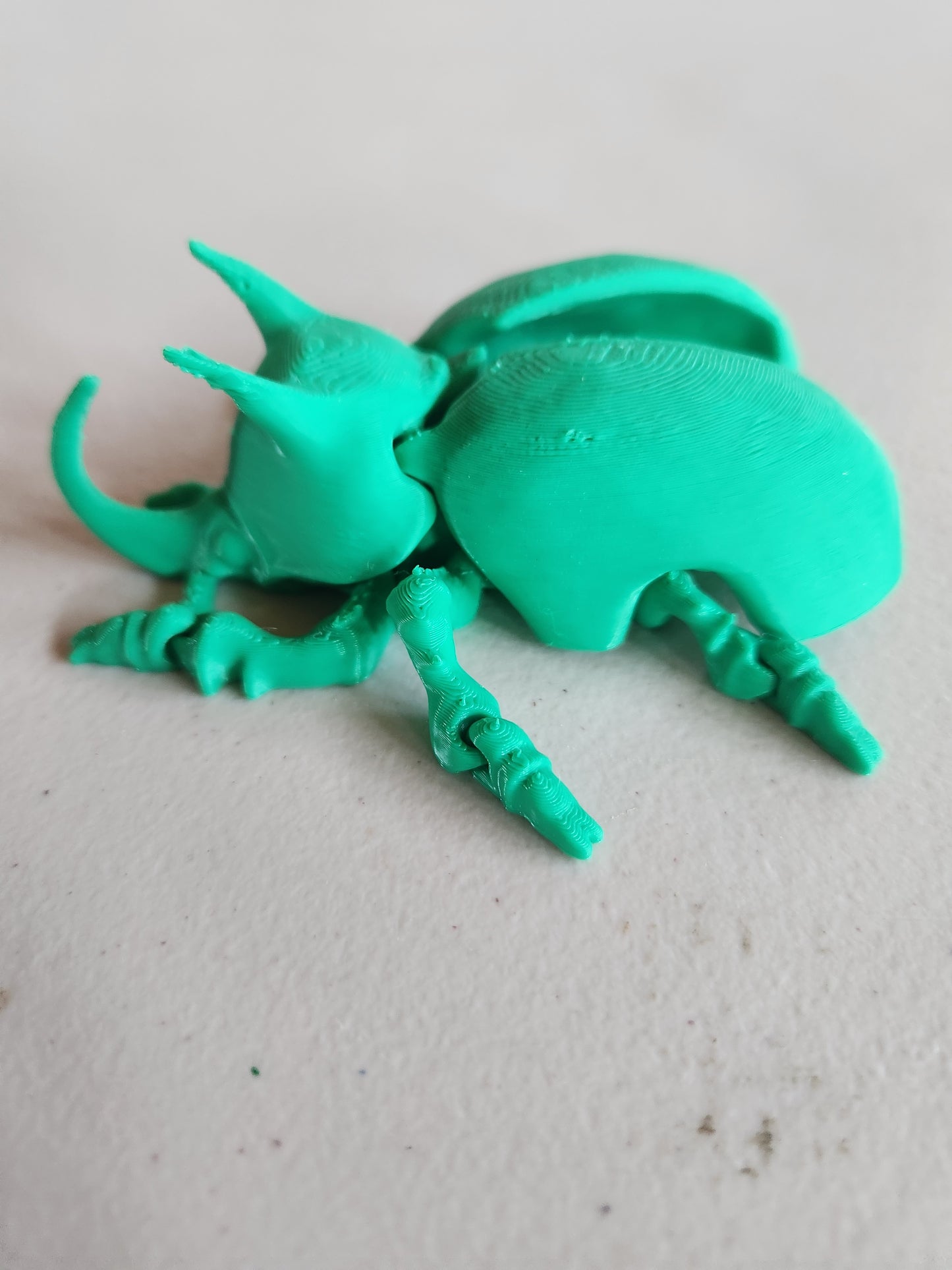 Beetle