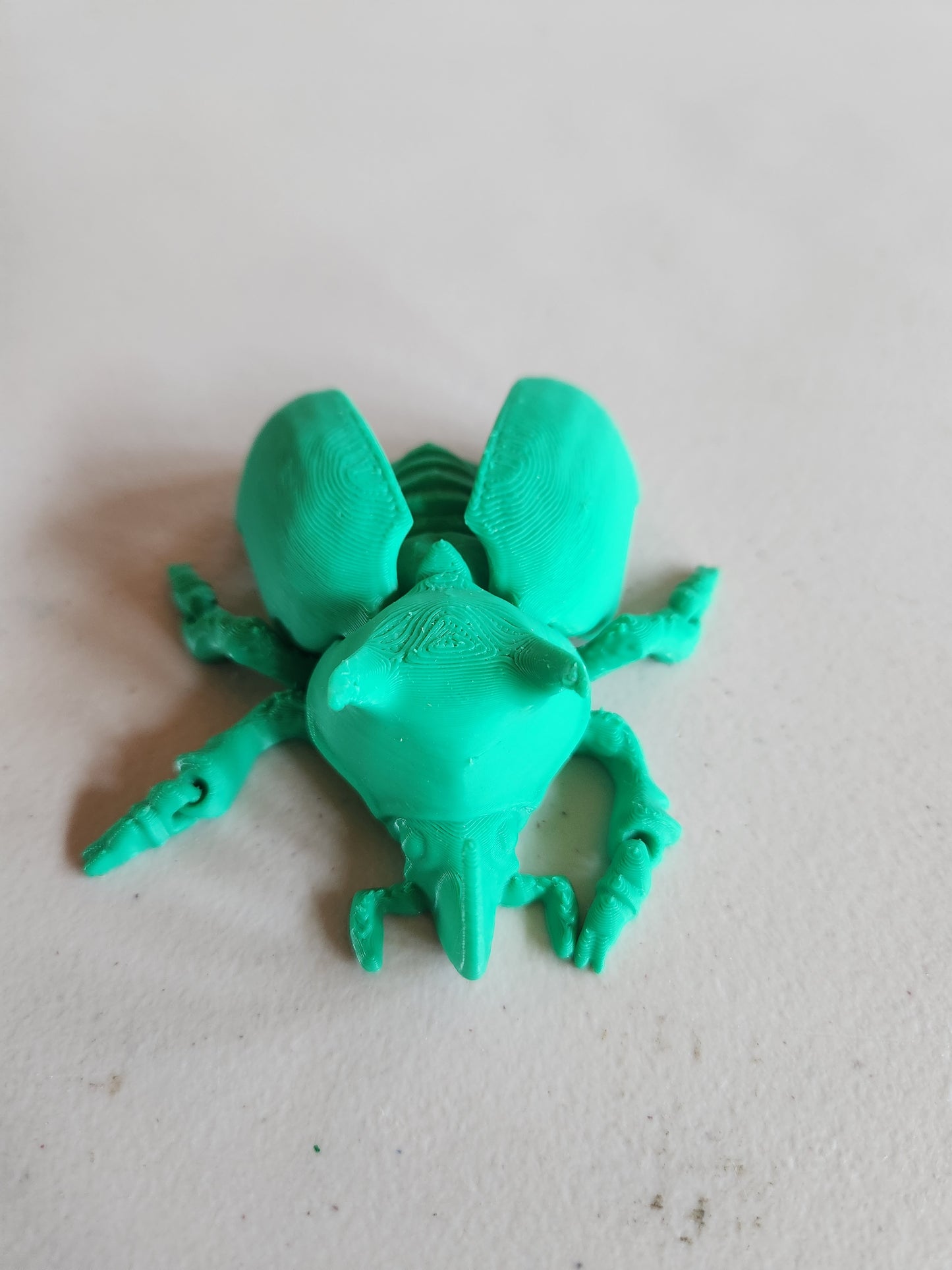Beetle