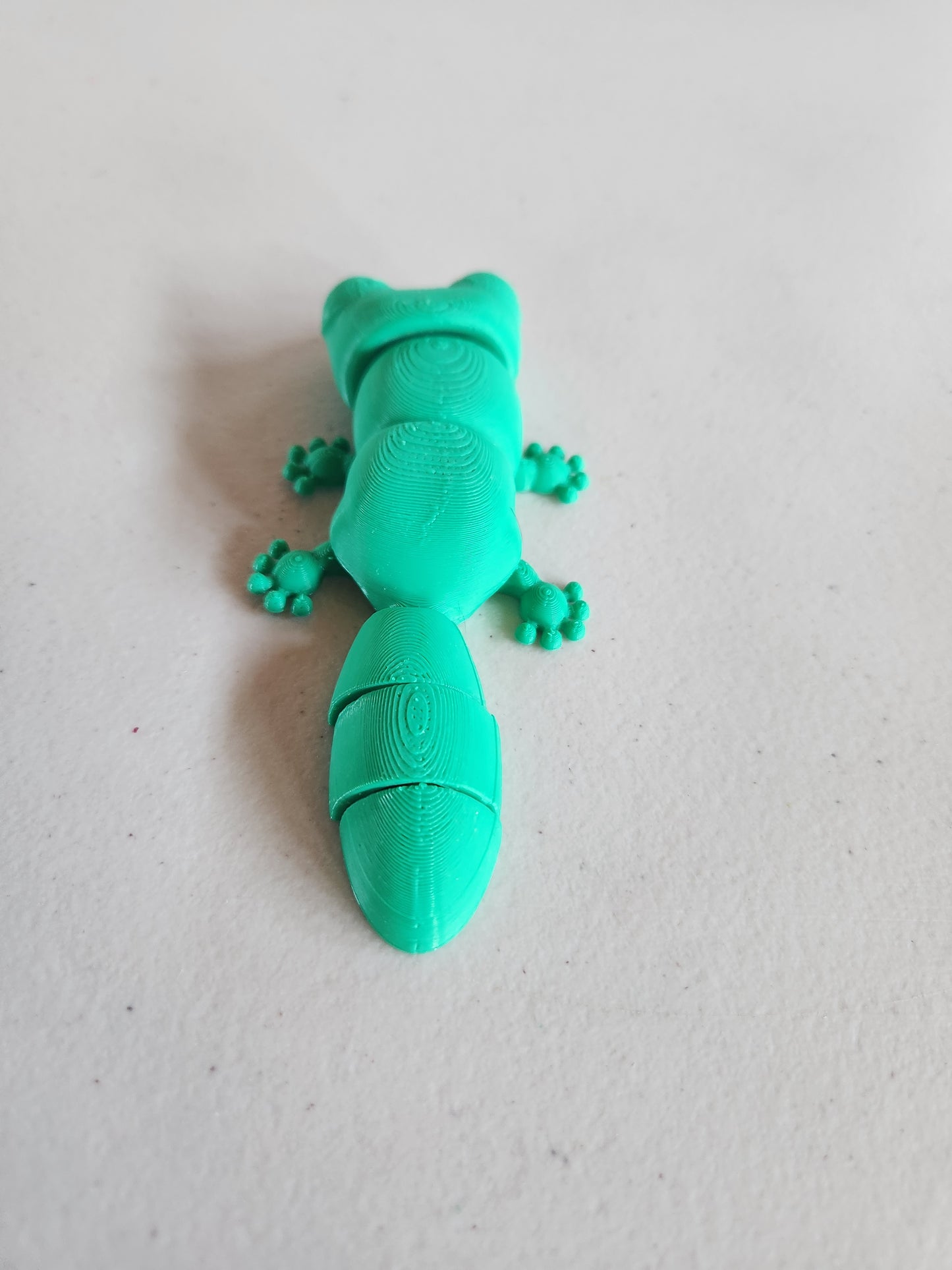 Gecko