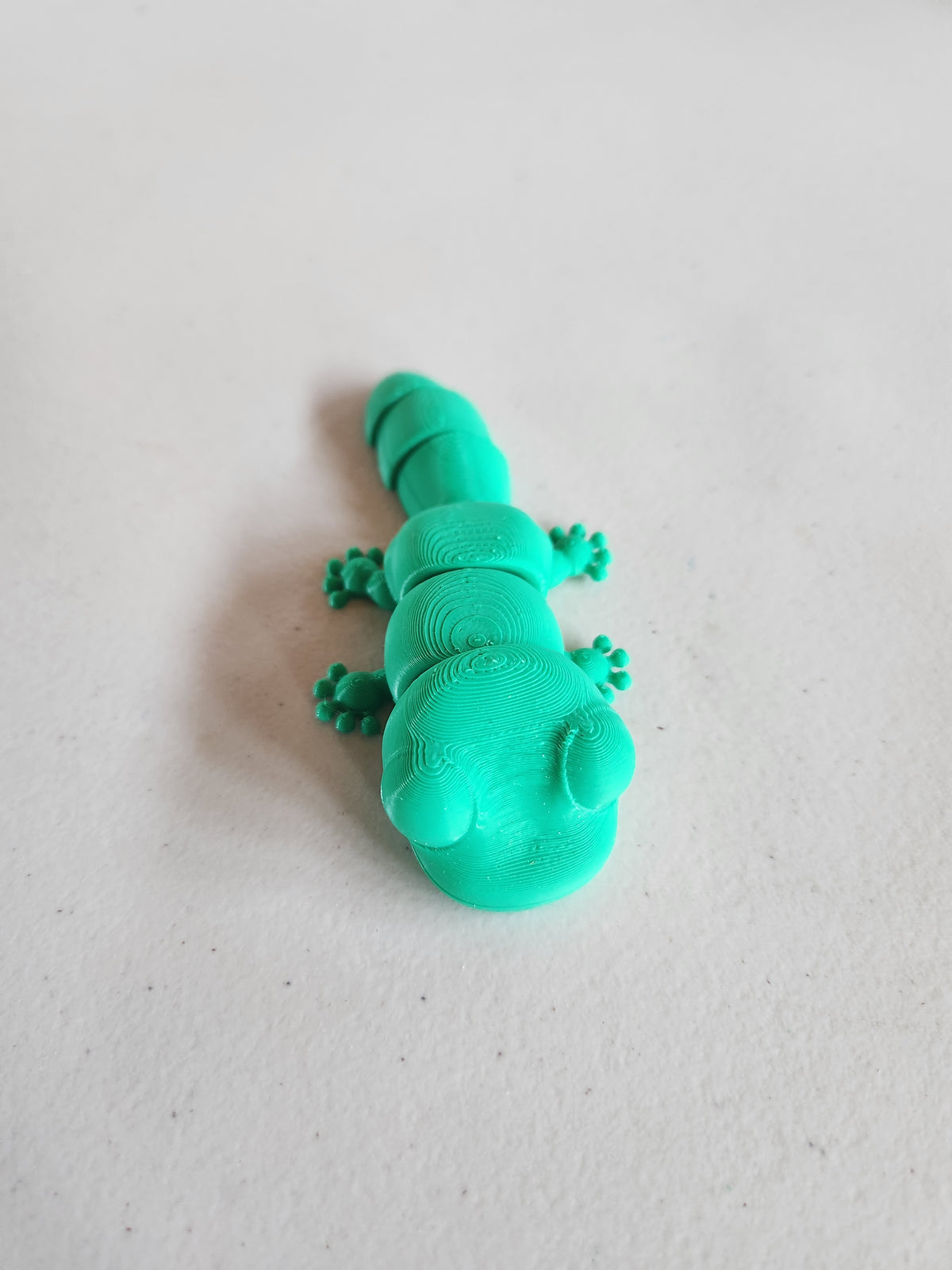 Gecko