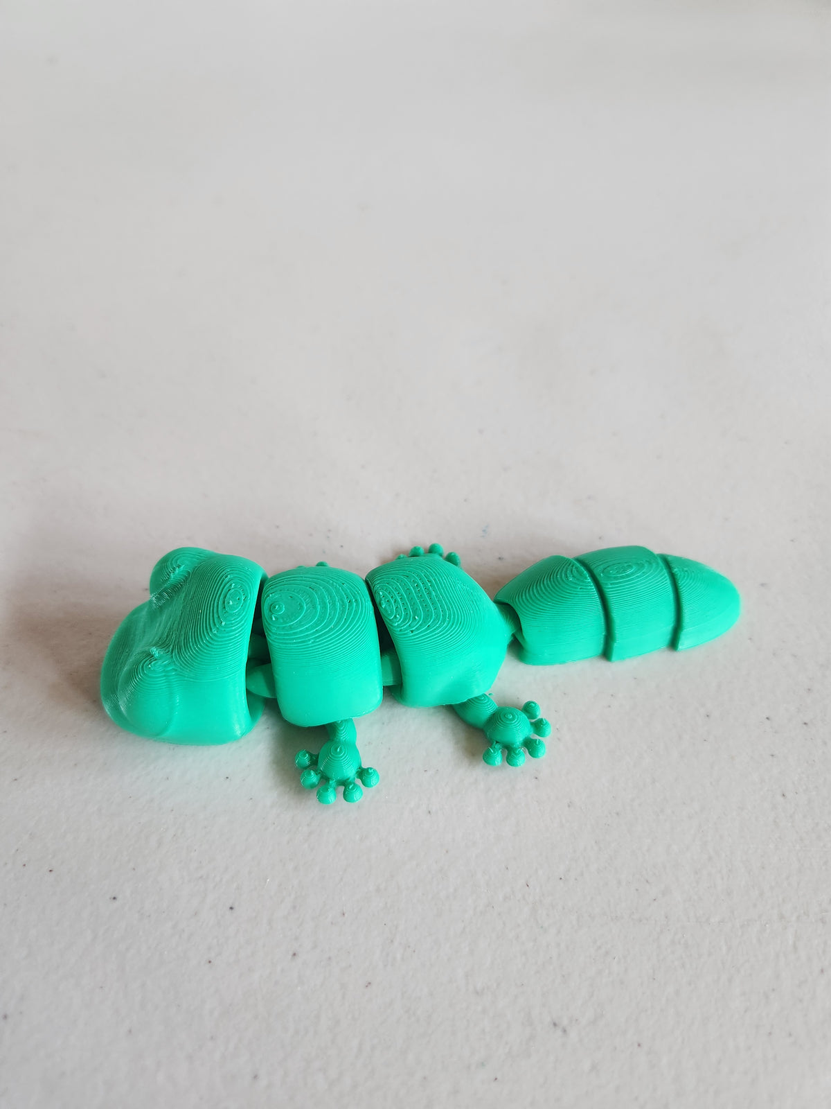 Gecko
