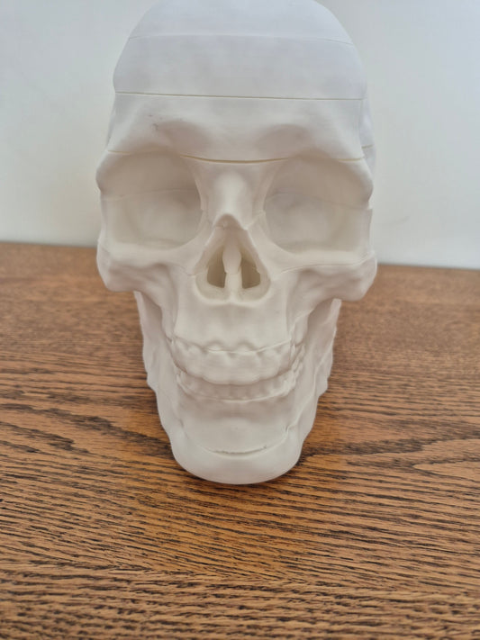 Skull puzzle
