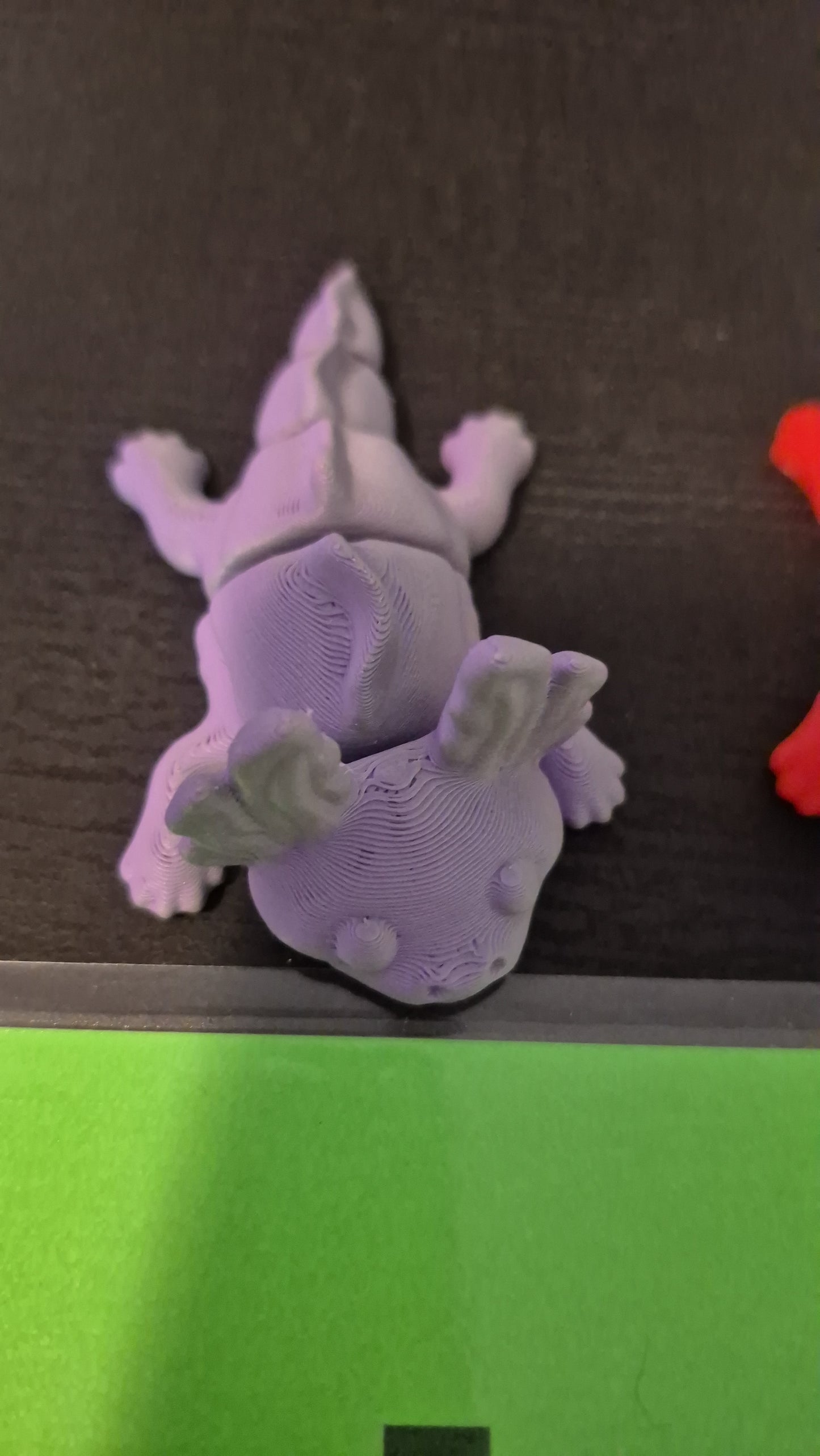 Axolotl