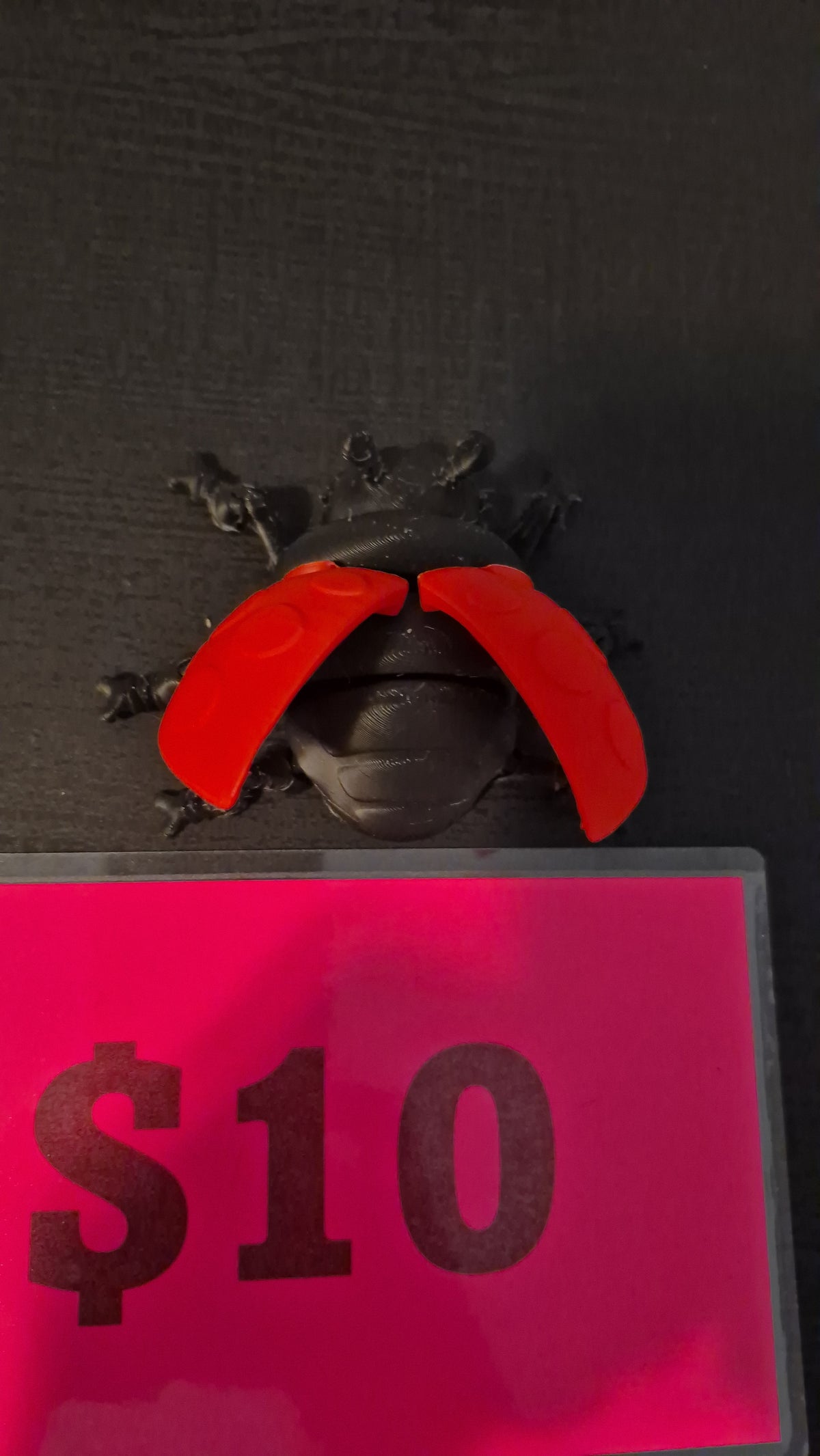 Lady bug