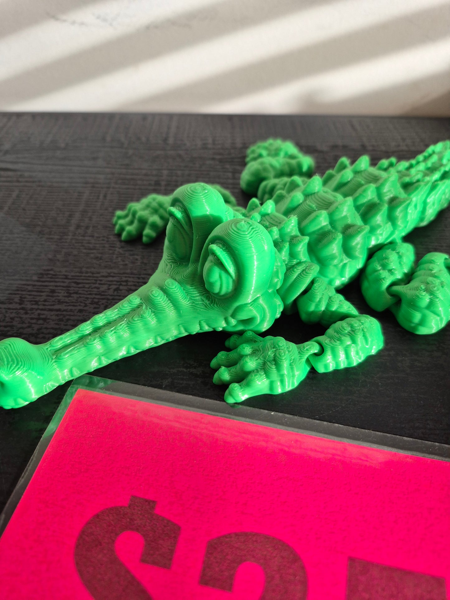 Alligator