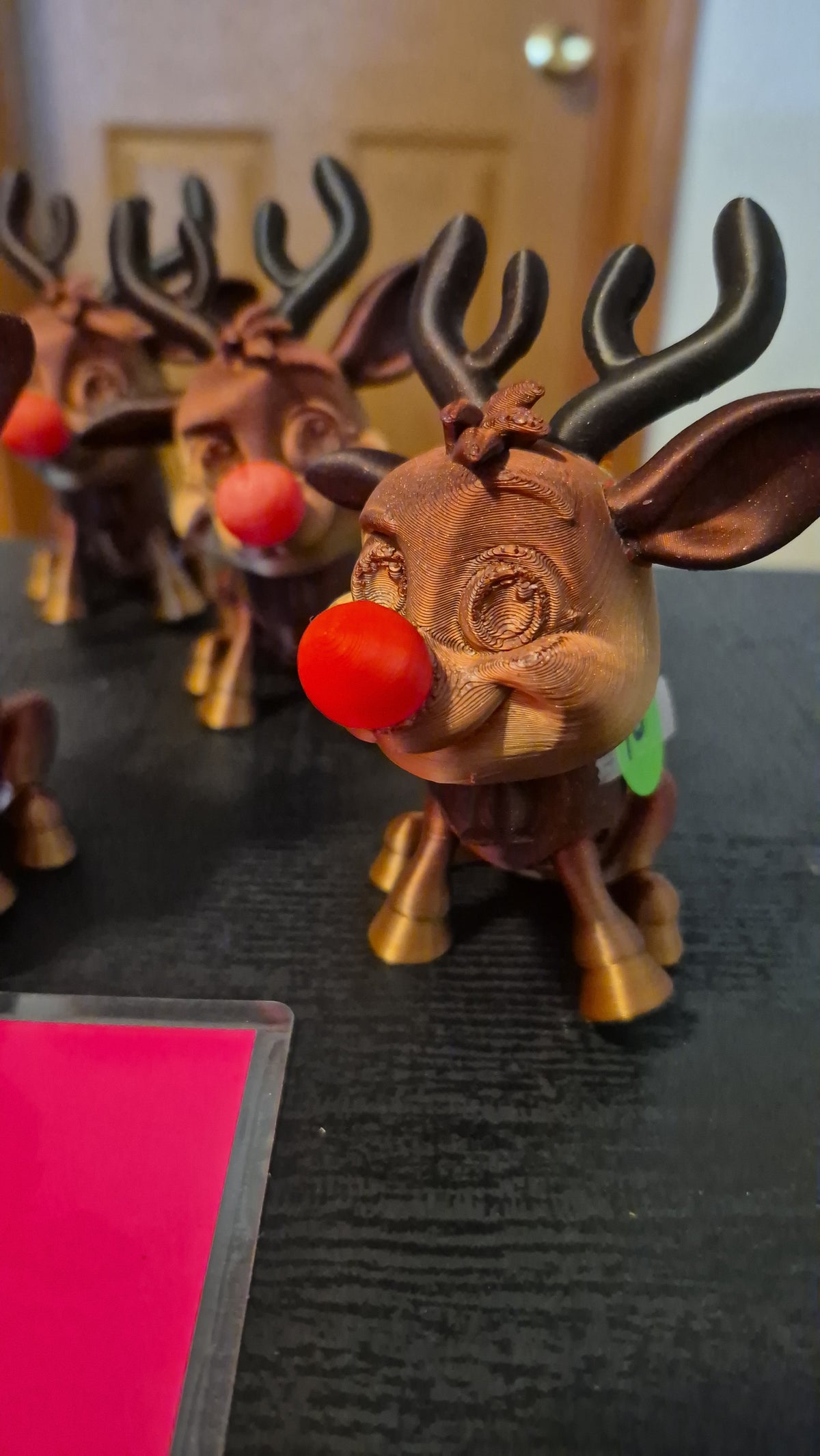 Raindeer