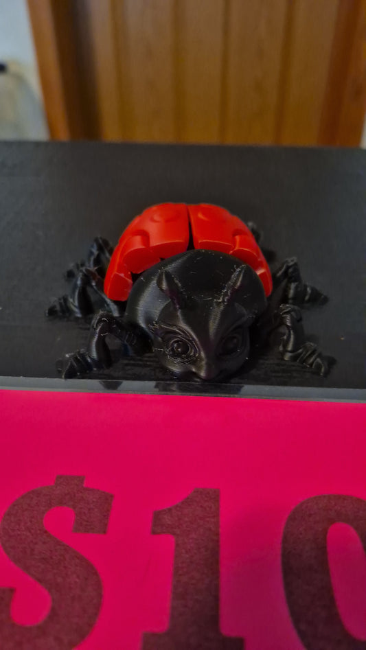 Lady bug