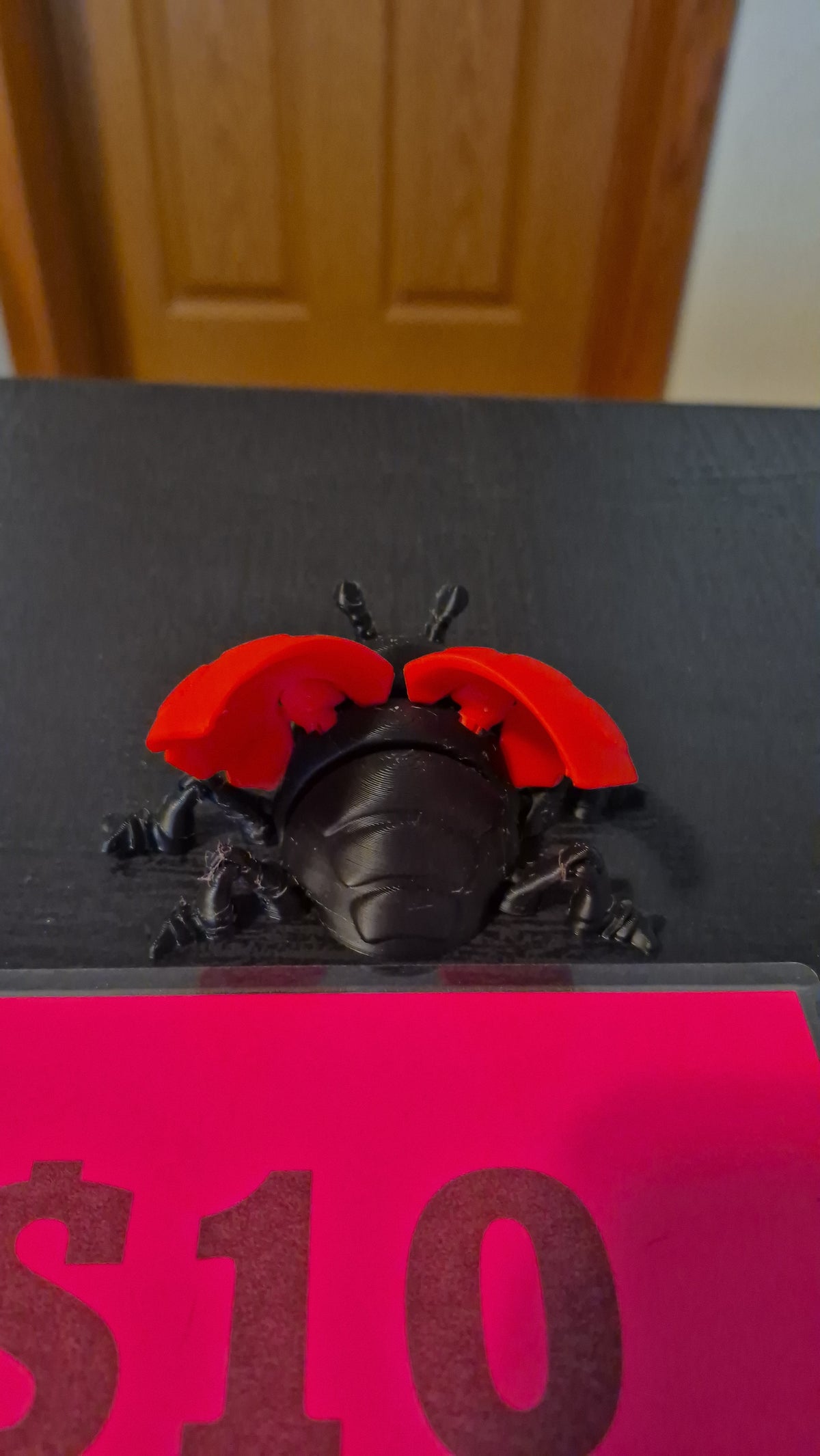 Lady bug