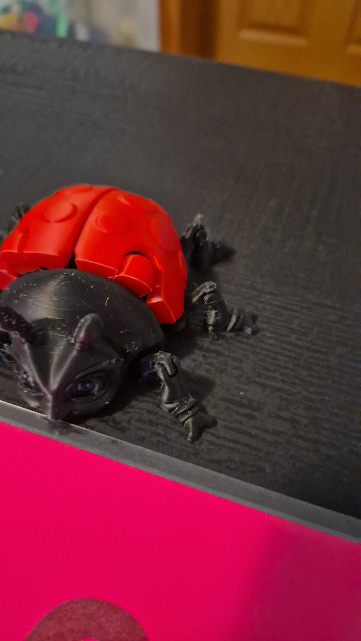 Lady bug