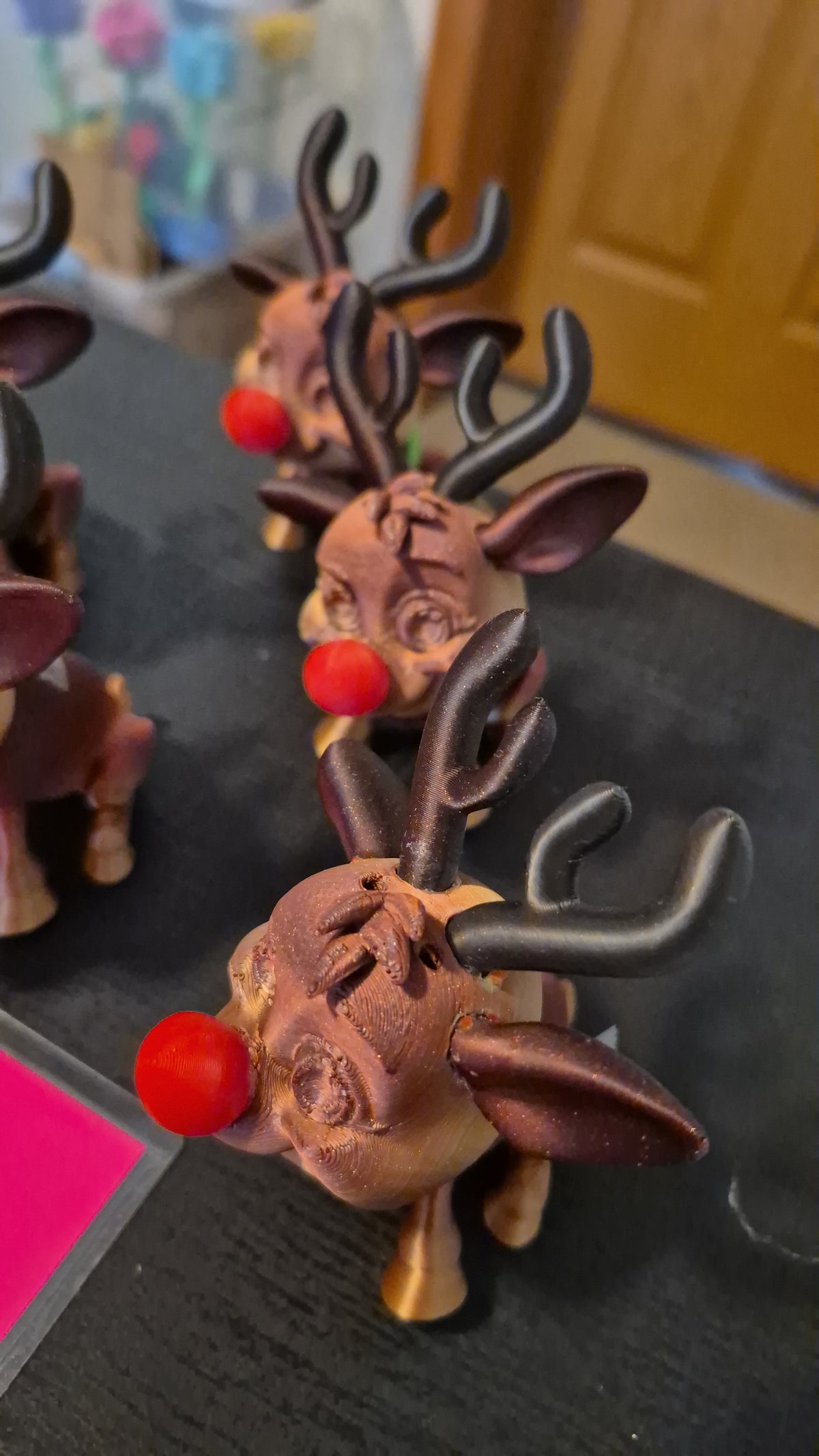 Raindeer