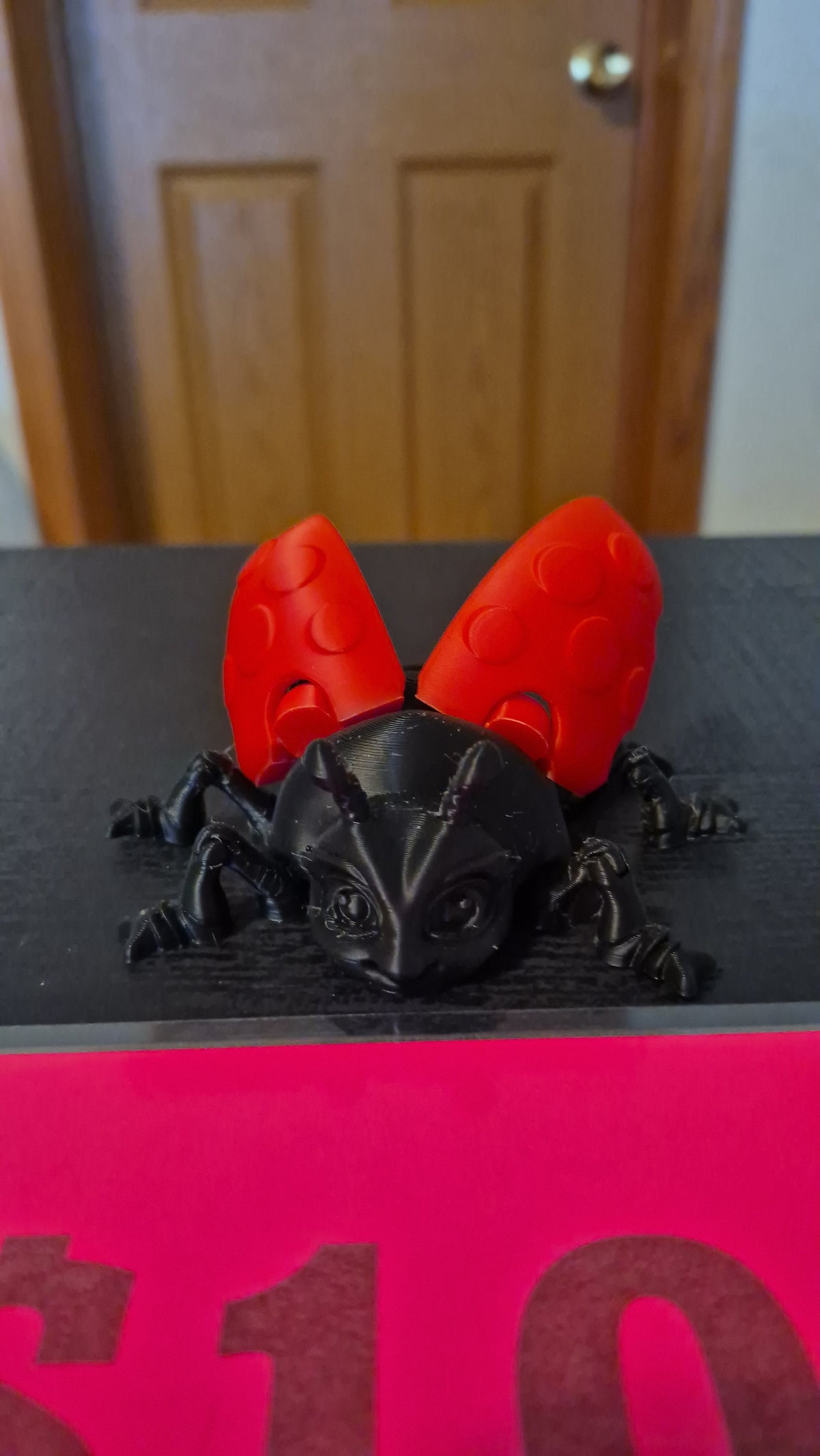 Lady bug