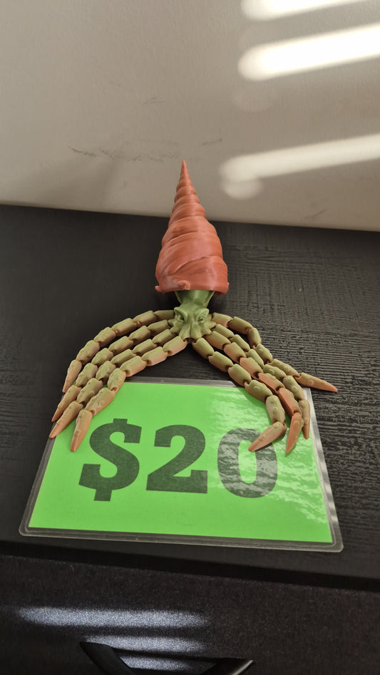 Squid with shell